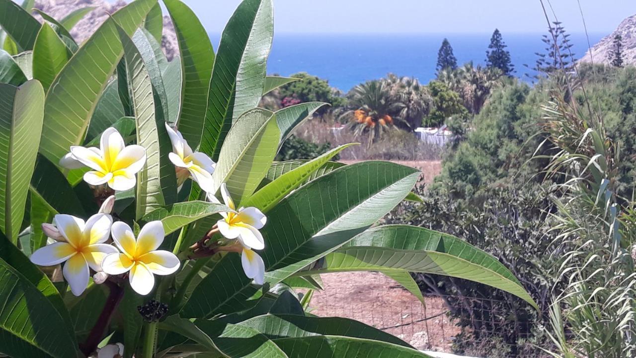 Sunset Suites 'Annada أركاسا المظهر الخارجي الصورة